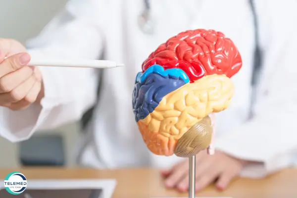 Representação do cérebro humano relacionada à depressão, ansiedade e saúde mental.